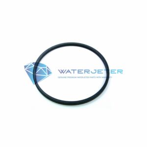 seal assy hydraulic piston wjs 5000042