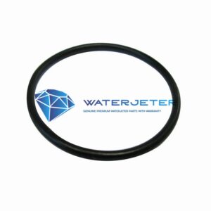 o ring 1 3/4x15/16x3/32bn n,d70,1 neoline wjs 5000176