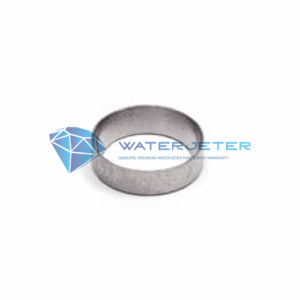 seal ring wjs 5200083