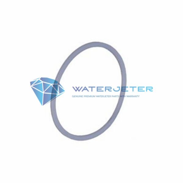 back ring wjs 5300046