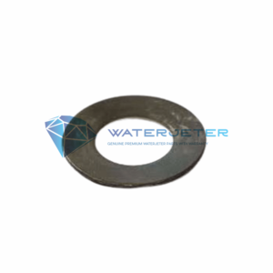 disc spring dual core wjs 5300115