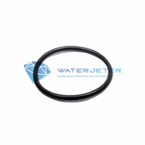 o ring wjs 7700039